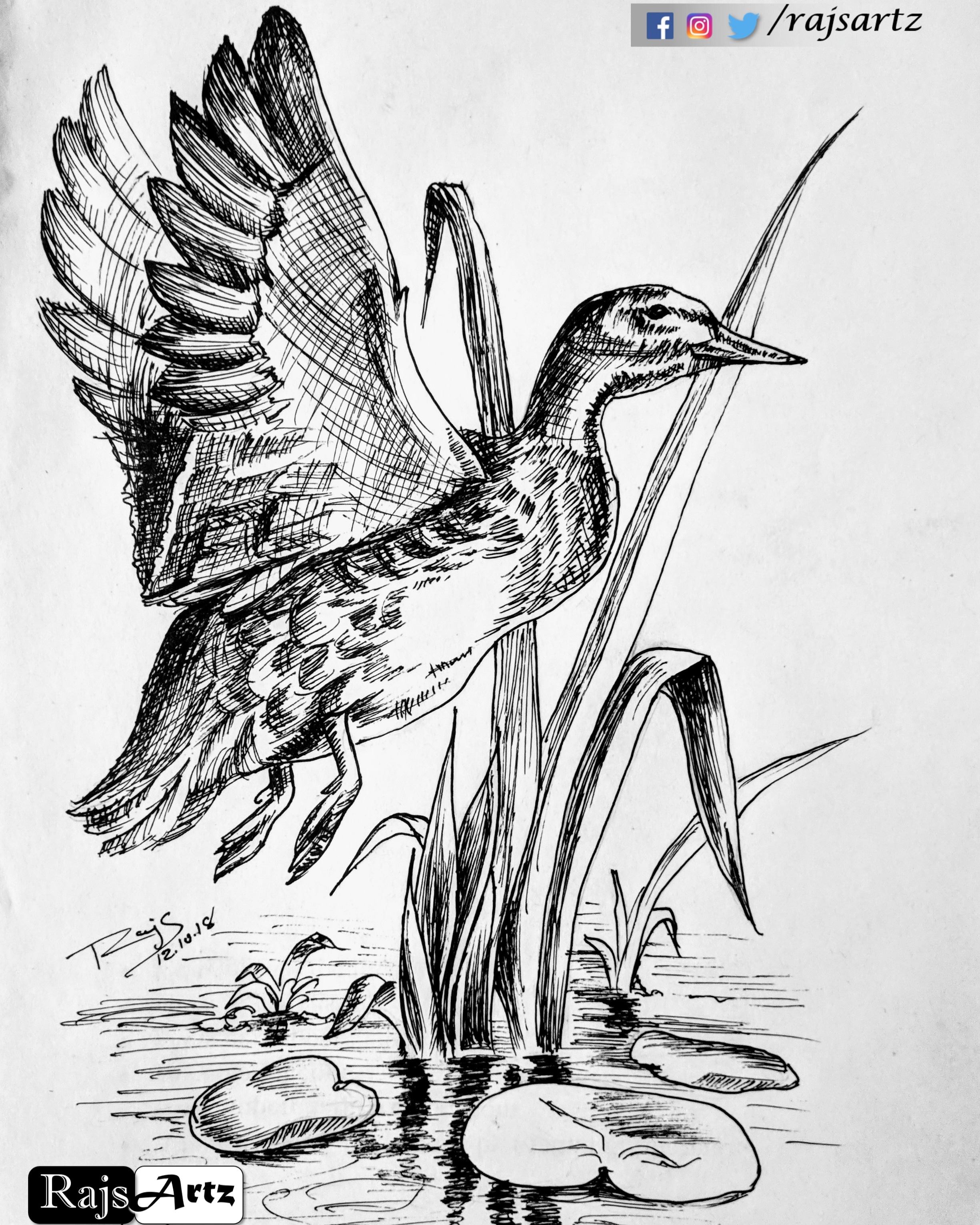 Quick sketch  scribble art penart bird drawing  Flickr