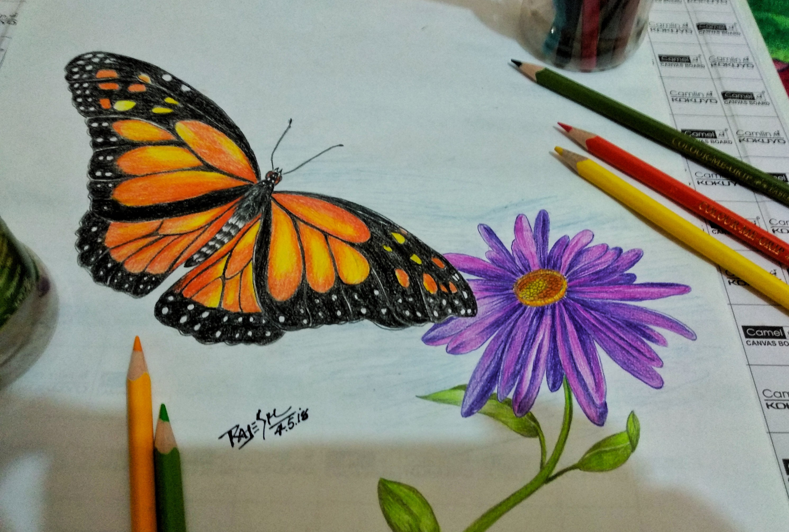 Easy Colored Pencil Art | Art inspiration, Color pencil art, Watercolor art